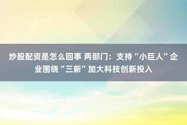 炒股配资是怎么回事 两部门：支持“小巨人”企业围绕“三新”加大科技创新投入